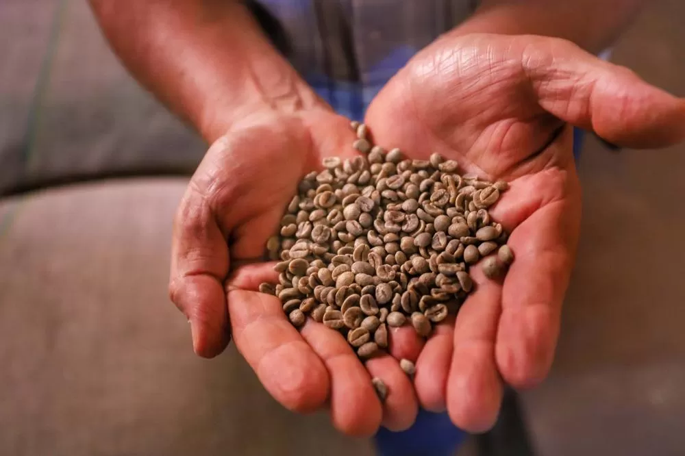 Comércio global: Paraná vendeu US$ 14,2 bilhões em alimentos e bebidas para 176 países em 2024 Foto: José Fernando Ogura/Arquivo AEN