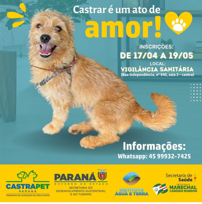 (Foto: Divulgação)