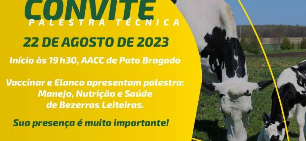 (Foto: Divulgação)