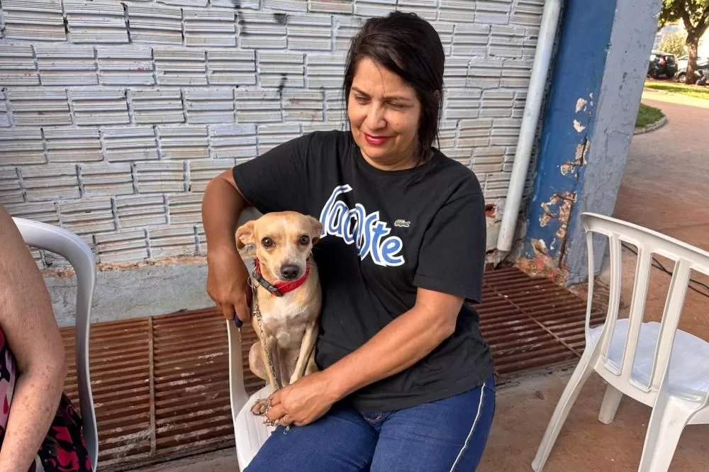 Com investimento de R$ 20 milhões, novo ciclo do CastraPet Paraná vai alcançar os 399 municípios do Paraná Foto: IAT