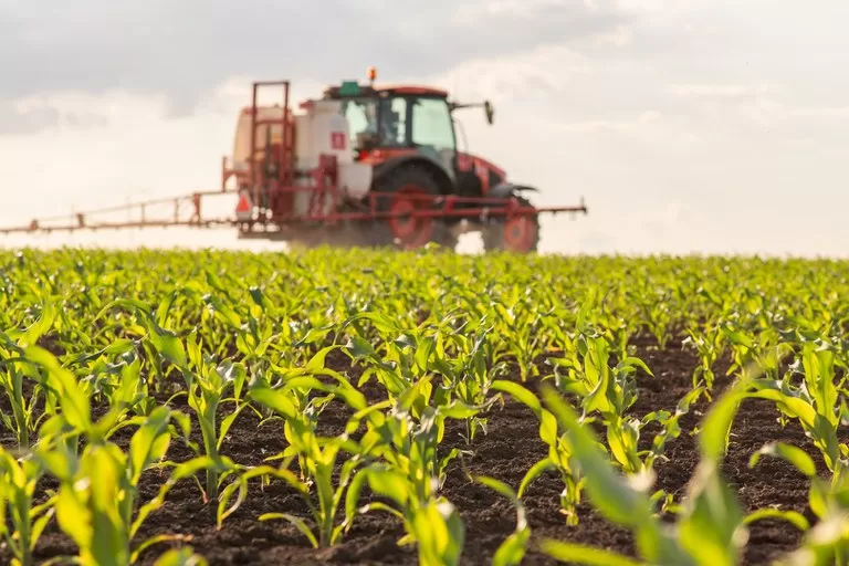 No acumulado do primeiro trimestre de 2025, as exportações do agronegócio brasileiro totalizaram US$ 37,8 bilhões, aumento de 2,1% quando comparado ao ano anterior, o maior valor já registrado para o período - Foto: Getty Images