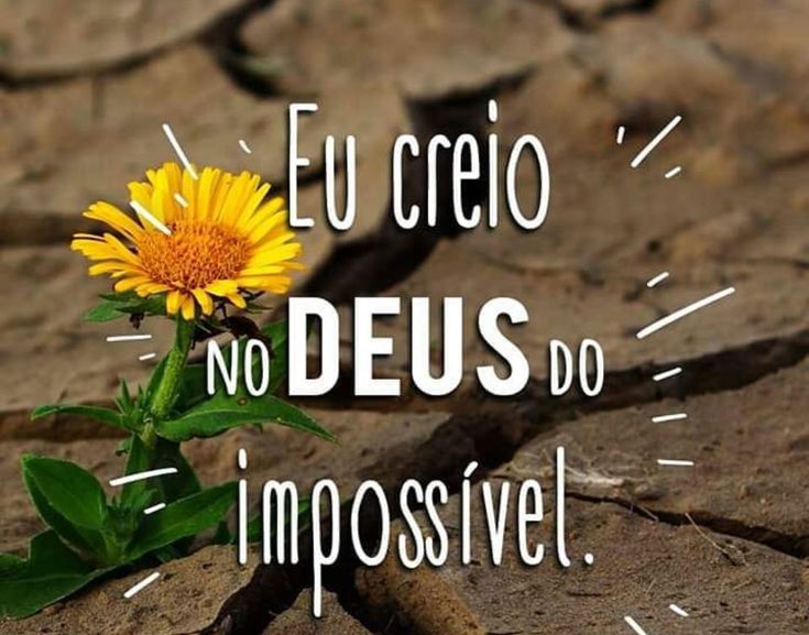 (Foto: Divulgação)