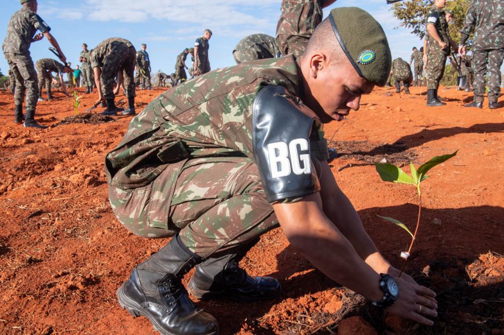 Crédito: ST Huelison e Departamento de Engenharia e Construção