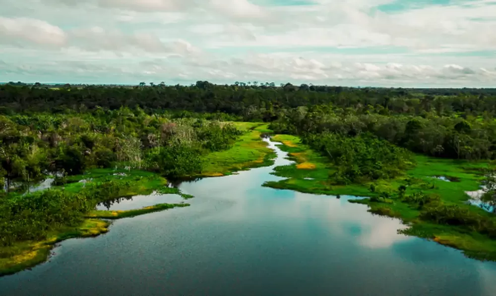 Armando Leandro Ribeiro da Silva/Divulgação