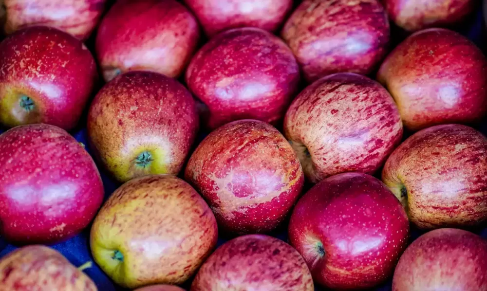  Rafa Neddermeyer/Agência Brasil