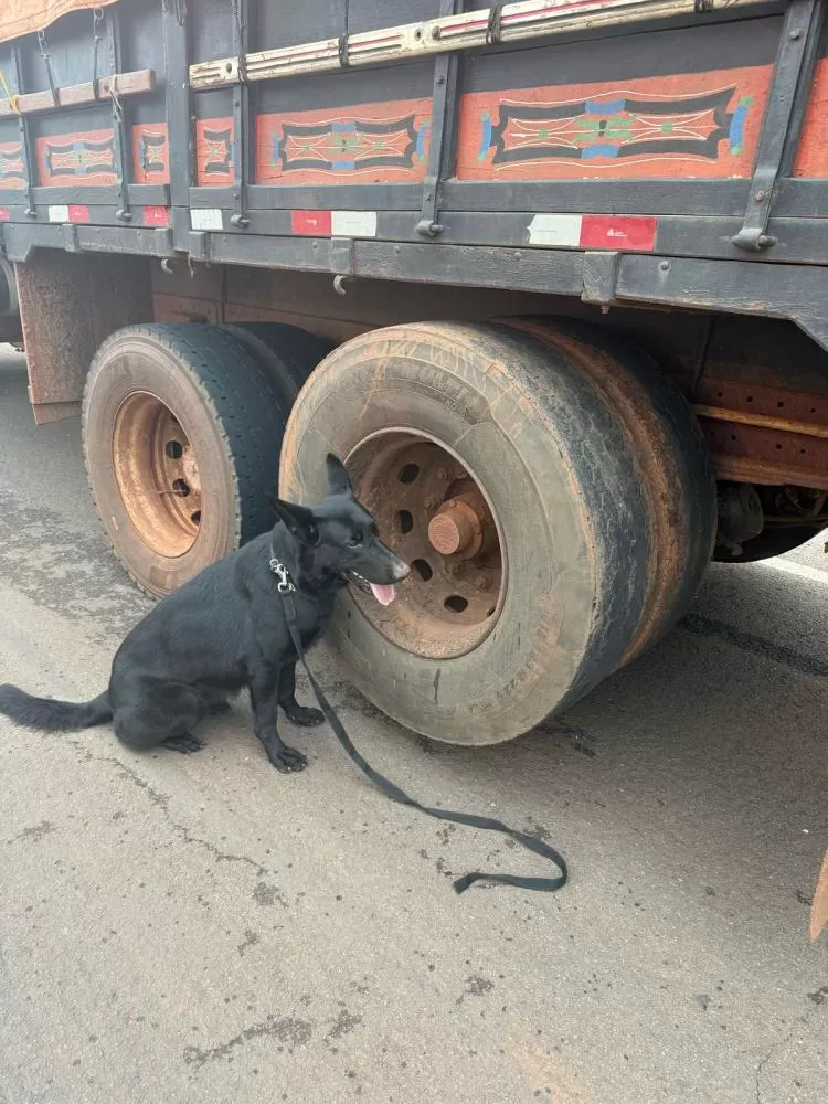 POLÍCIA MILITAR DO PARANÁ “Nós fazemos a diferença“