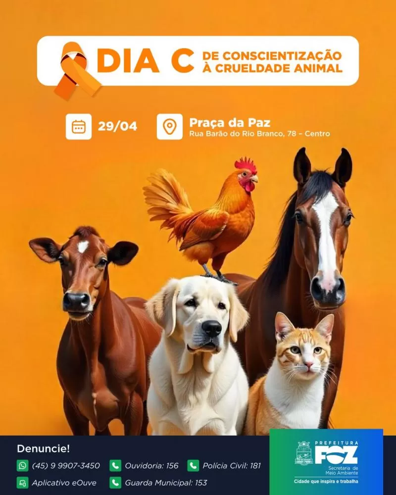 (Foto: Divulgação)