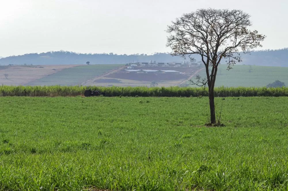 Com nova metodologia, Deral apresenta preços de terras de 2025 Foto: Roberto Dziura Jr/AEN