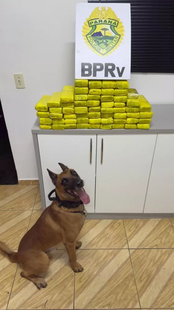 POLÍCIA MILITAR DO PARANÁ