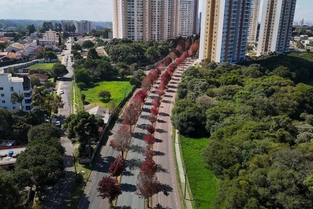 Foto: Geraldo Bubniak/AEN