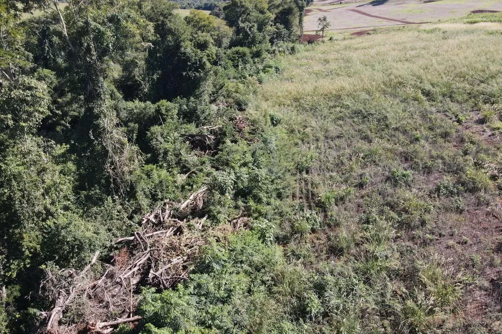 IAT aplicou R$ 2,2 milhões em multas ambientais durante a 1ª Operação de Combate ao Desmatamento Ilegal de 2025 Foto: IAT