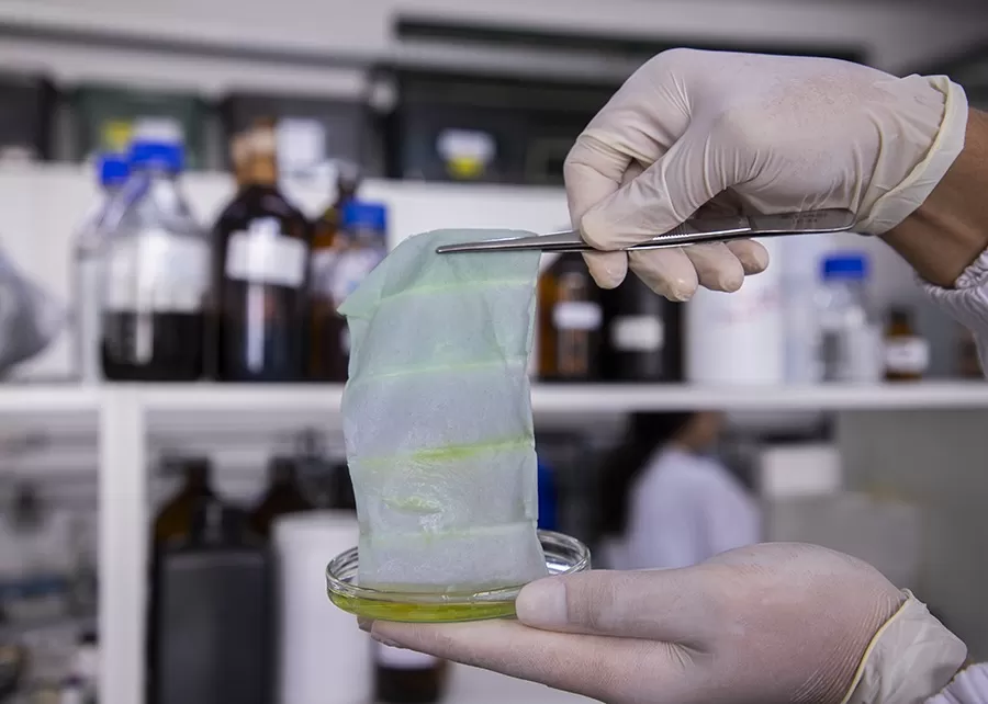 Foto: Matheus Falanga