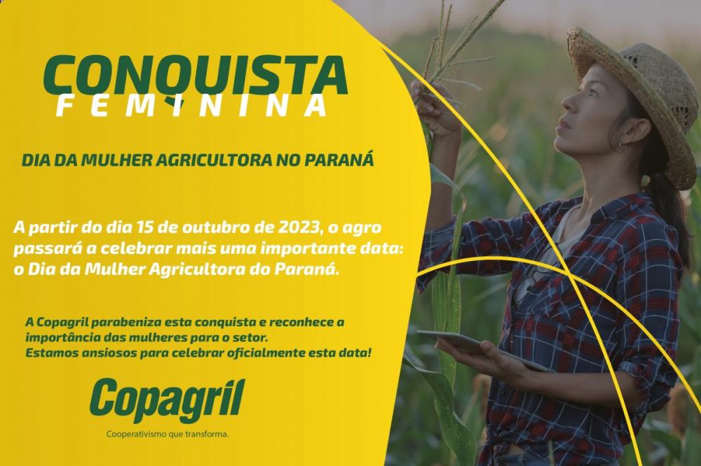 (Foto: Divulgação)