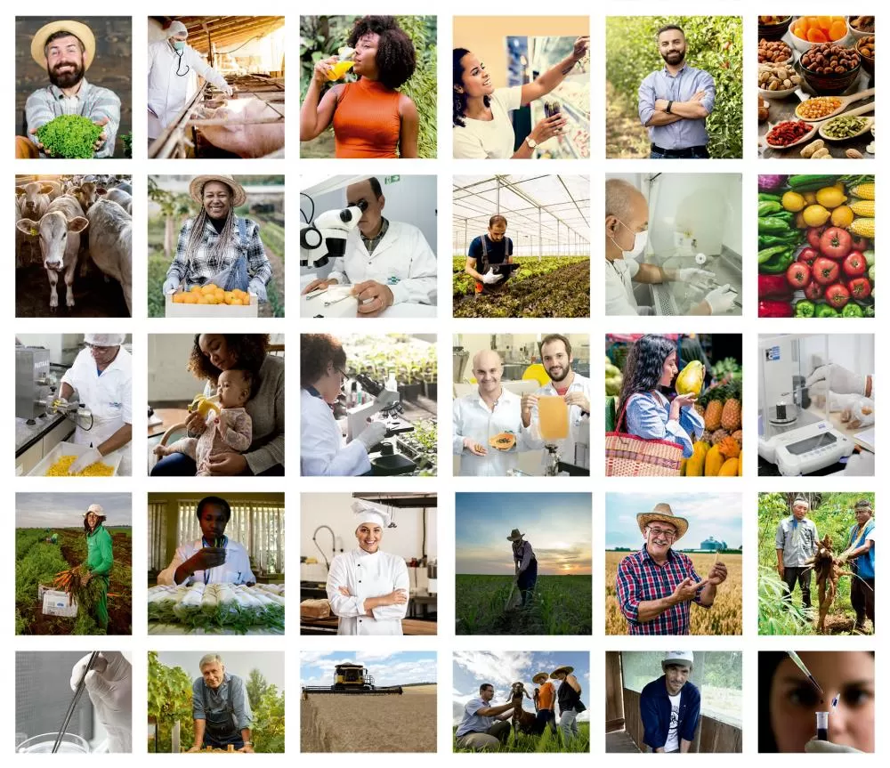 Capa do Balanço Social 2022