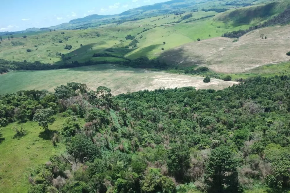 IAT identificou 478 hectares de área de vegetação danificada por fogo em quatro fazendas de Ribeirão Claro, no Norte Pioneiro Foto: IAT Jacarezinho