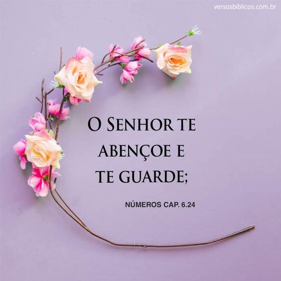 (Foto: Divulgação)