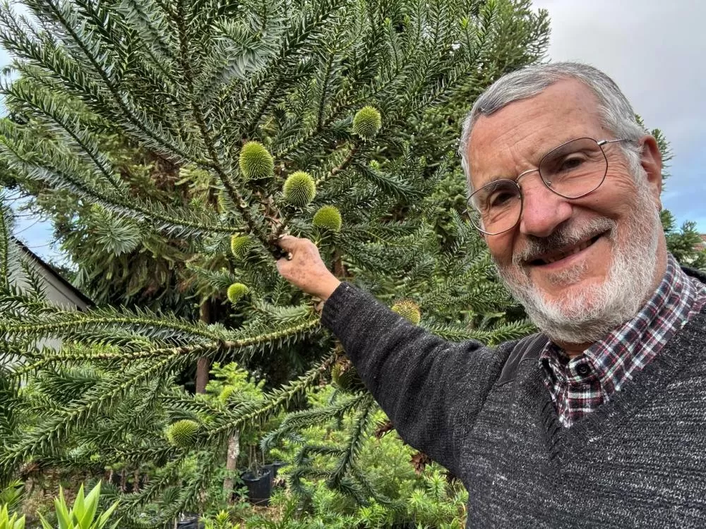 Crédito das fotos: Renata Doca