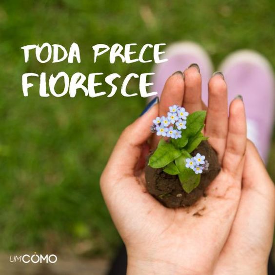 (Foto: Divulgação)