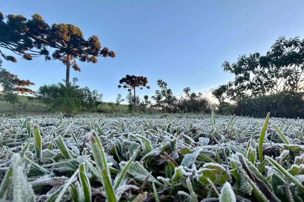 Primeira onda de frio chega ao Paraná semana que vem com termômetros perto de 0ºC Foto: Ana Tigrinho/AEN