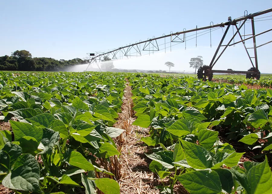 Foto: Sebastião Araújo