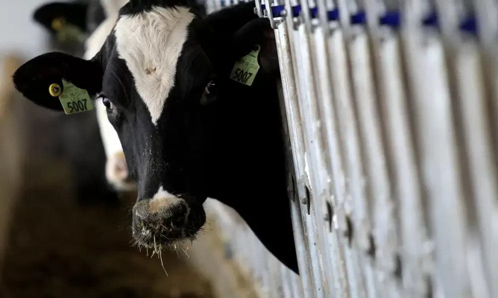  Aaron Josefczyk/Reuters/direitos reservados