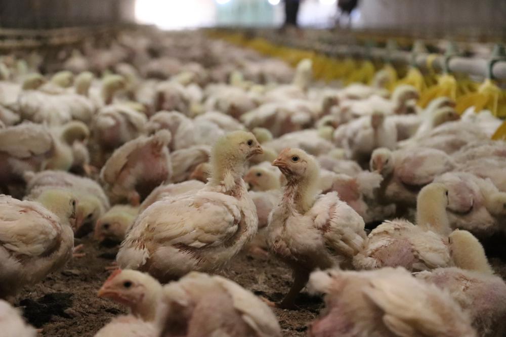 (Foto: Assessoria/Prefeitura de Mal. Cdo. Rondon)