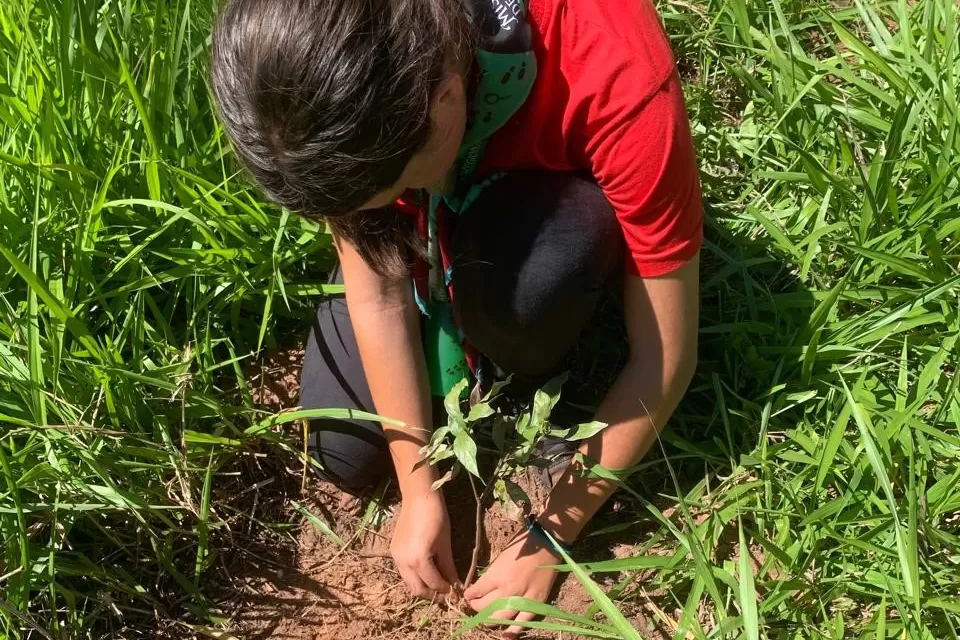 Ações para celebrar a Semana do Meio Ambiente incluem plantio de mudas, limpeza de rios e atividades educativas para conscientização da população. Foto: Denis Ferreira Netto/SEDEST