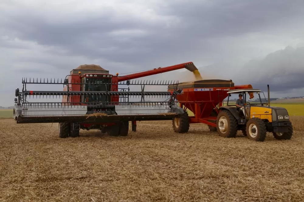 Vazio sanitário da soja inicia nesta segunda no Norte, Noroeste, Centro-Oeste e Oeste Foto: Gilson Abreu/Arquivo AEN