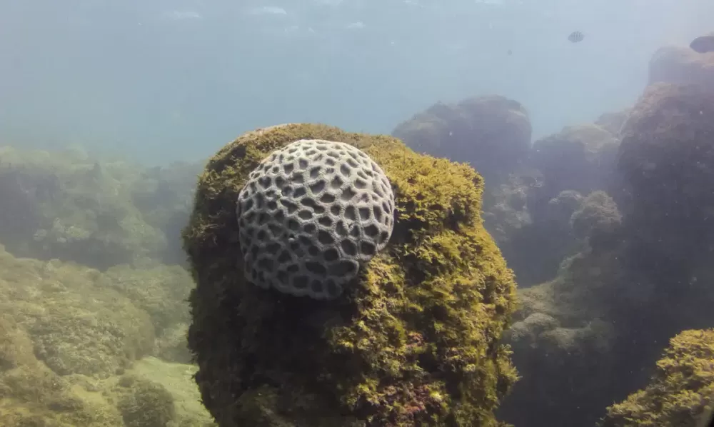 Fernando Frazão/Agência Brasil