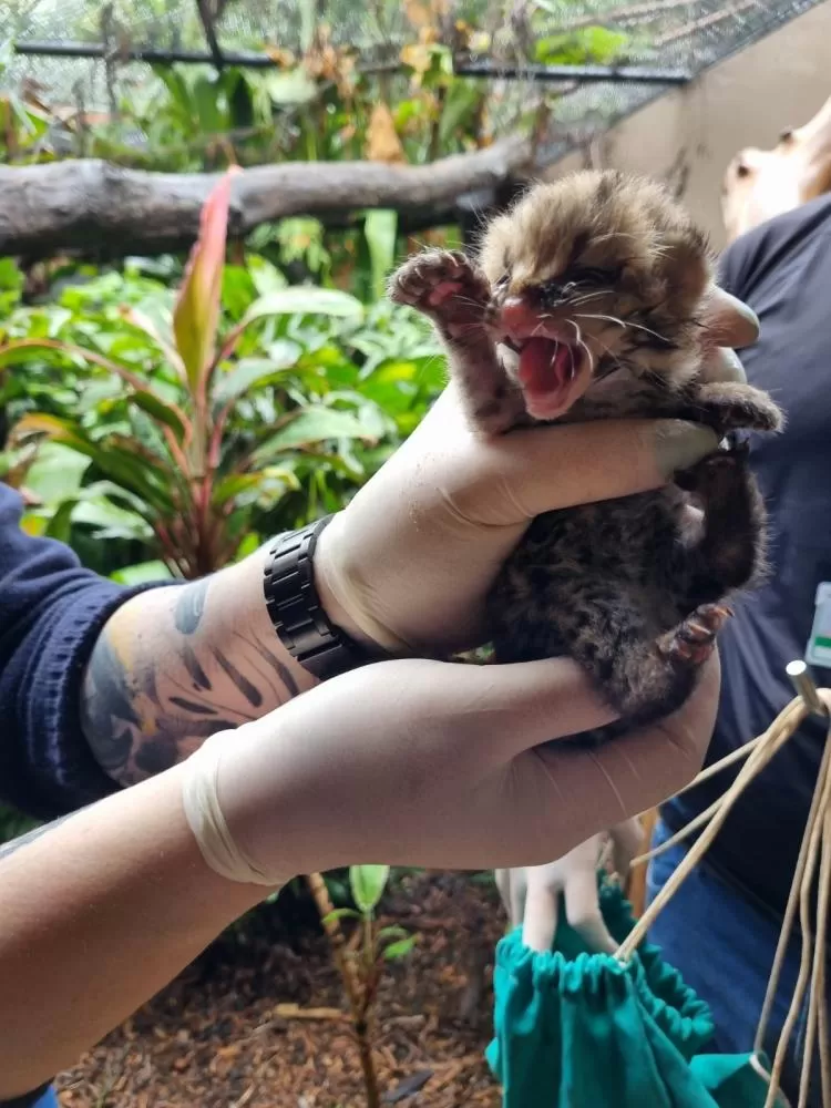 Fotos: divulgação. 