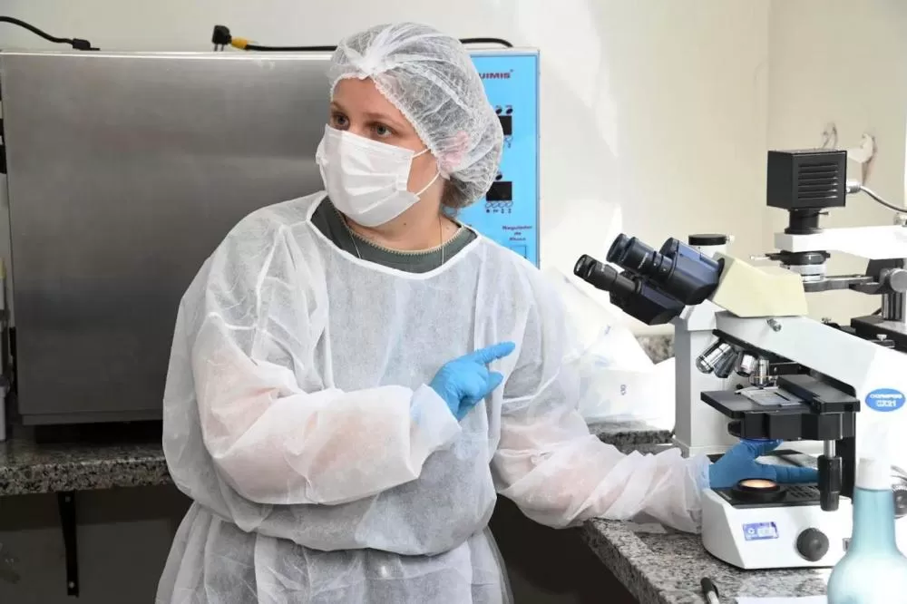 Pesquisadoras vinculadas ao Applied Nanostructured Systems Laboratory (Laboratório de Sistemas Nanoestruturados Aplicados), coordenado pelo professor Najeh Maissar Khalil, do Departamento de Farmácia da Universidade Estadual do Centro-Oeste (Unicentro), e