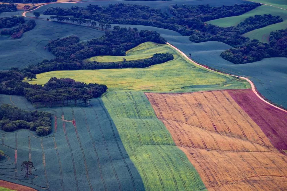 TRF4 suspende decisão que limitava regularização ambiental na Mata Atlântica no Paraná Foto: Jonathan Campos/AEN