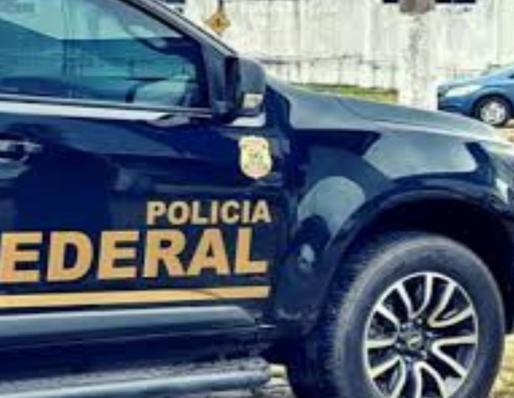 (Foto: Divulgação)