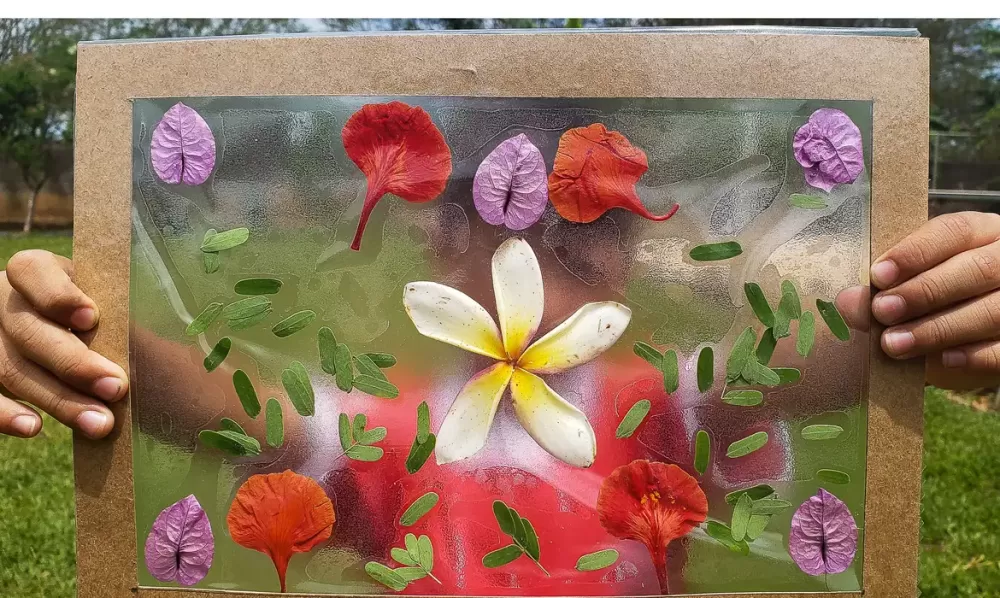  Liliane Farias/Agência Brasil