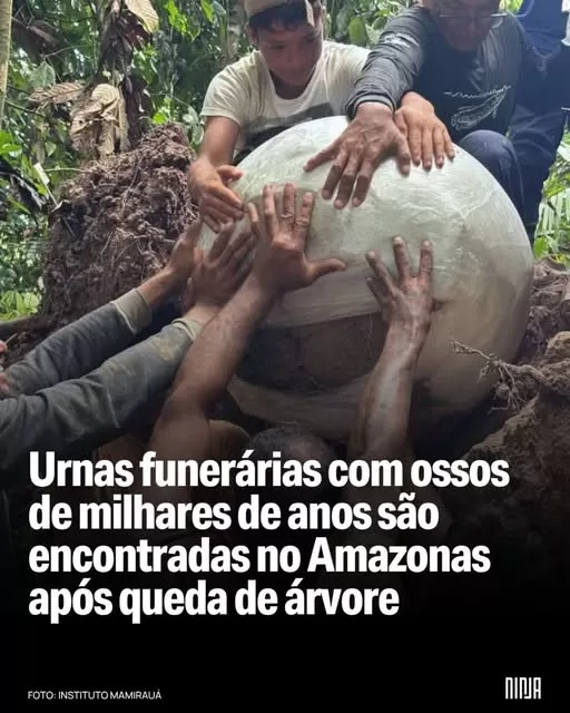 Urnas funerárias de milhares de anos são encontradas na Amazônia