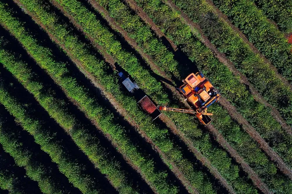 Foto: José Fernando Ogura/Arquivo AEN