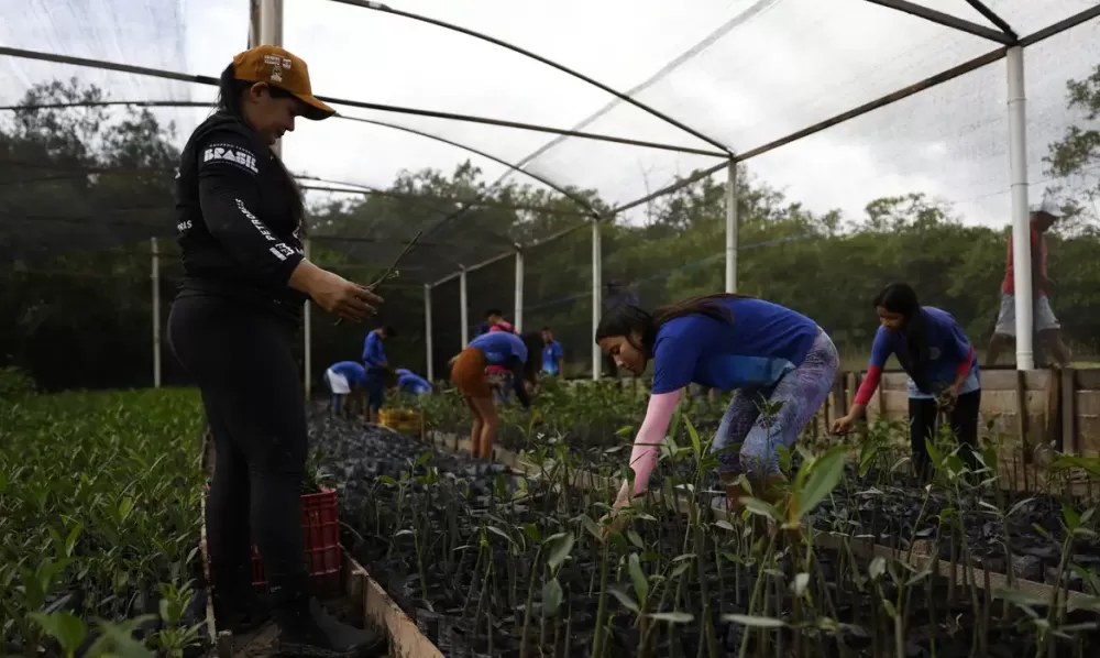  Fernando Frazão/Agência Brasil