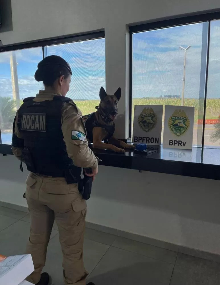 POLÍCIA MILITAR DO PARANÁ