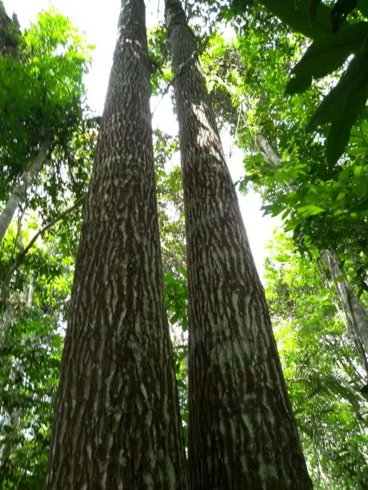 Foto: Patricia Costa