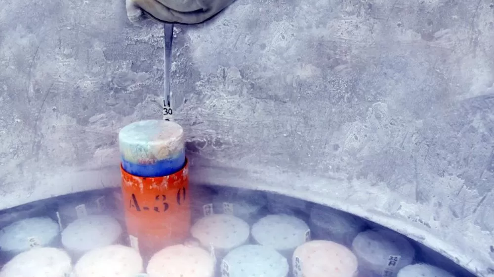 Nova instalação assegura condições ideais para conservação em longo prazo de sêmen, embriões, microrganismos e tecidos vegetais.