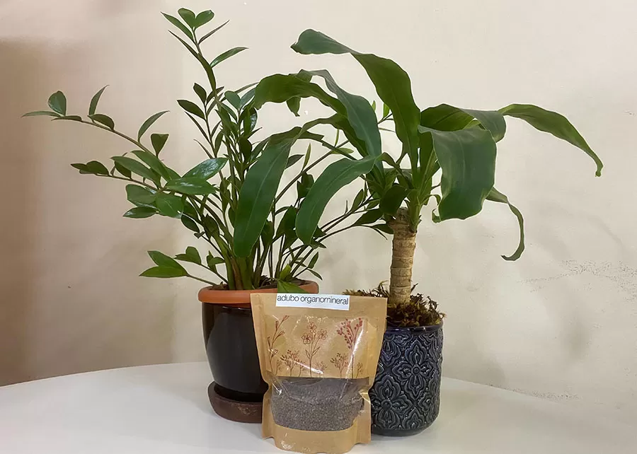 Foto: Fernando Gregio