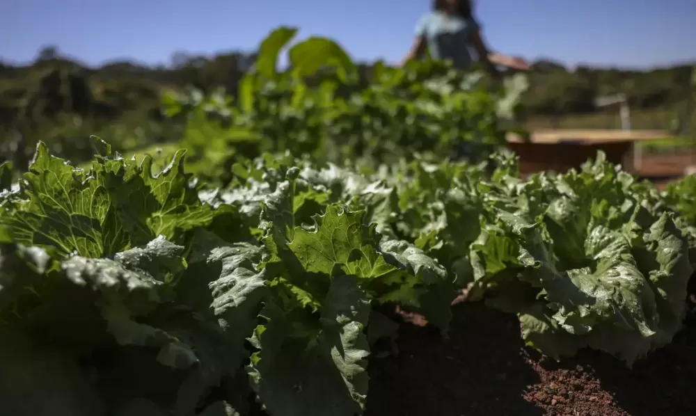 Marcelo Camargo/Agência Brasil