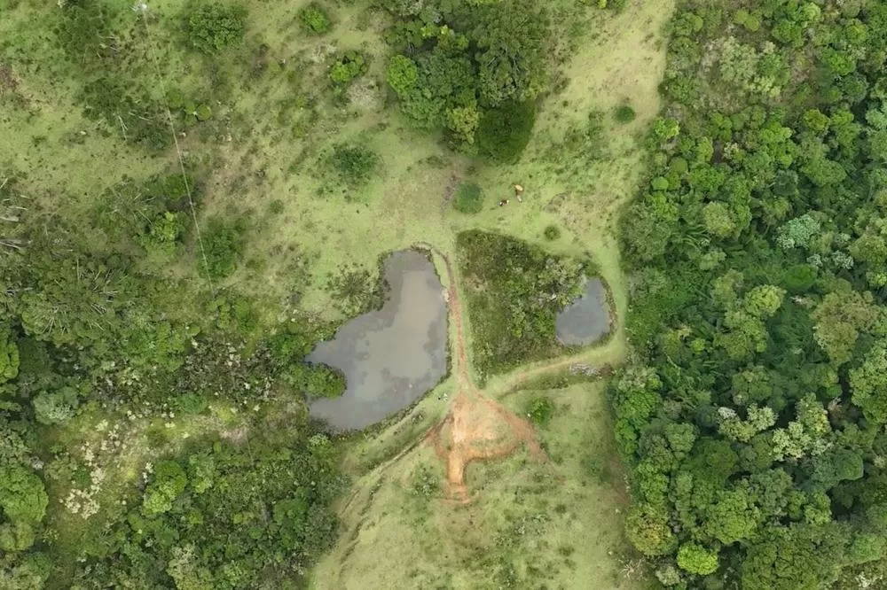 Paraná tem projeto de proteção de microbacias no campo para garantir segurança hídrica Foto: Ricardo Ribeiro/AEN