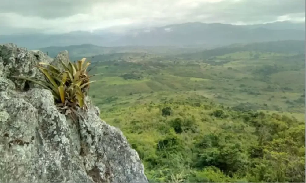  Hemerson Dantas dos Santos Pataxó Hãhãhãi/Divulgação