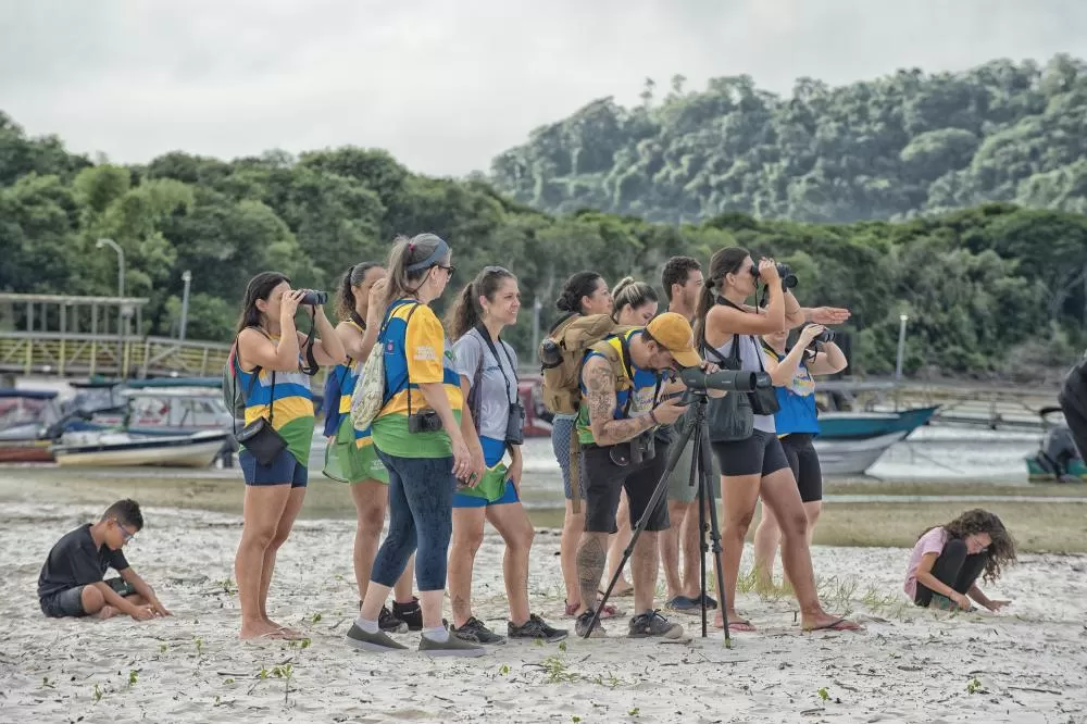 Unidades de Conservação do Paraná vão receber plataformas para observação de aves, dentro do projeto Passarinhar Paraná Foto: Denis Ferreira Netto/SEDEST-PR