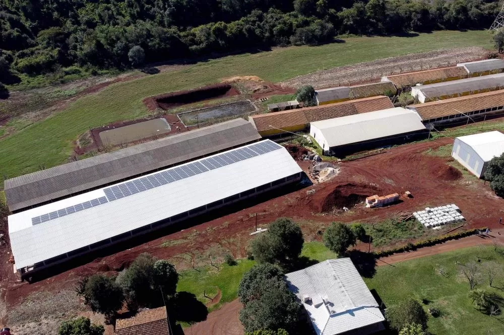 Energia renovável e pecuária: BRDE liberou R$ 305 milhões no Banco do Agricultor Paranaense Foto: Ari Dias/AEN