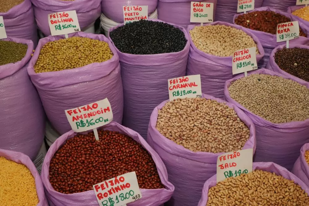 Paraná confirma novo recorde e liderança nacional na produção de feijão: 865 mil toneladas Foto: Ari Dias/AEN