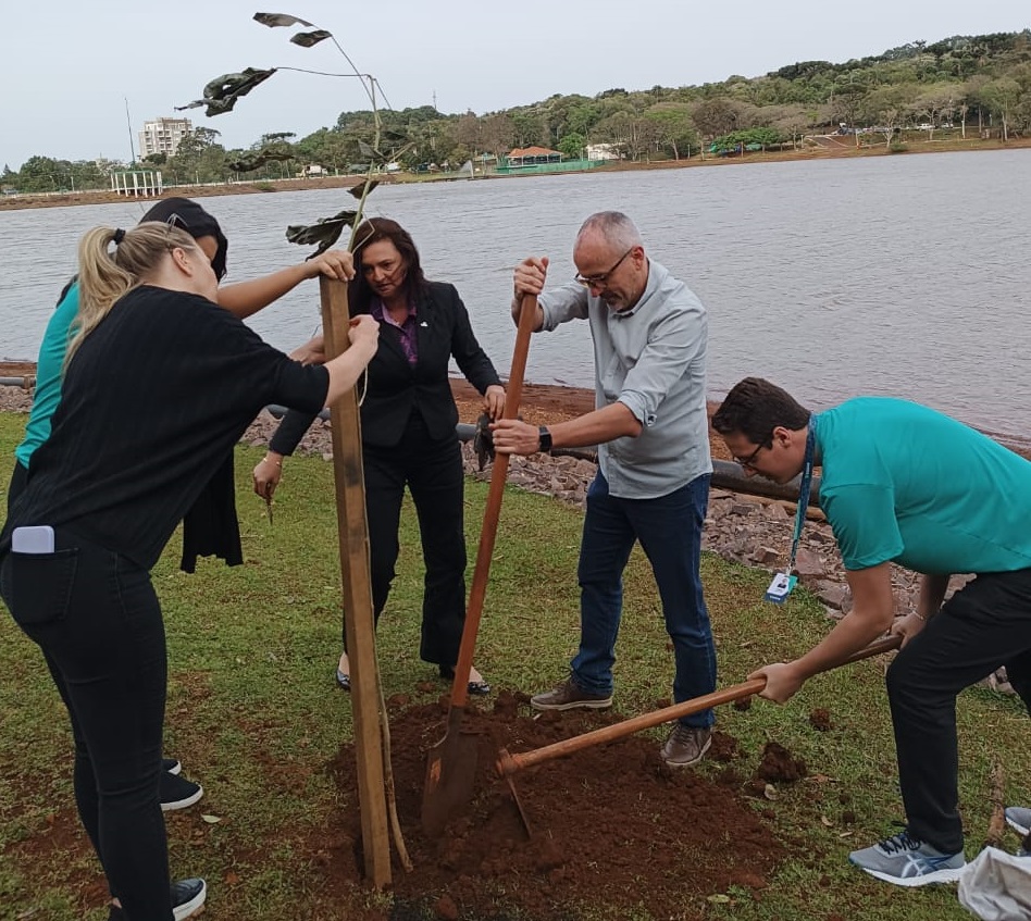 (Foto: Divulgação)