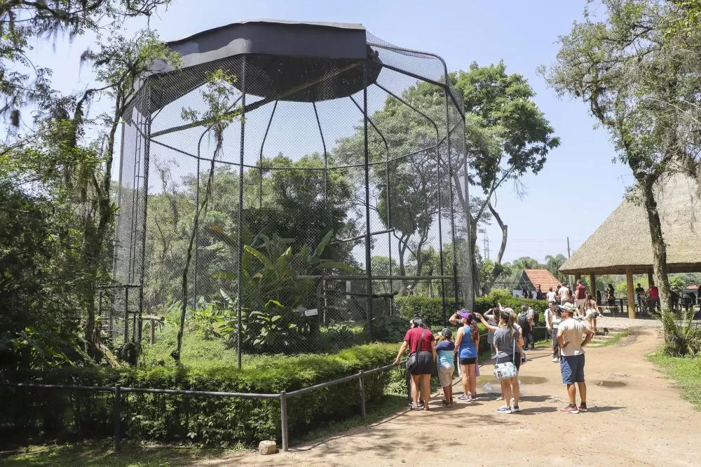 Estado faz pesquisa junto ao setor turístico para planejamento de políticas públicas Foto: Hully Paiva/Prefeitura de Curitiba