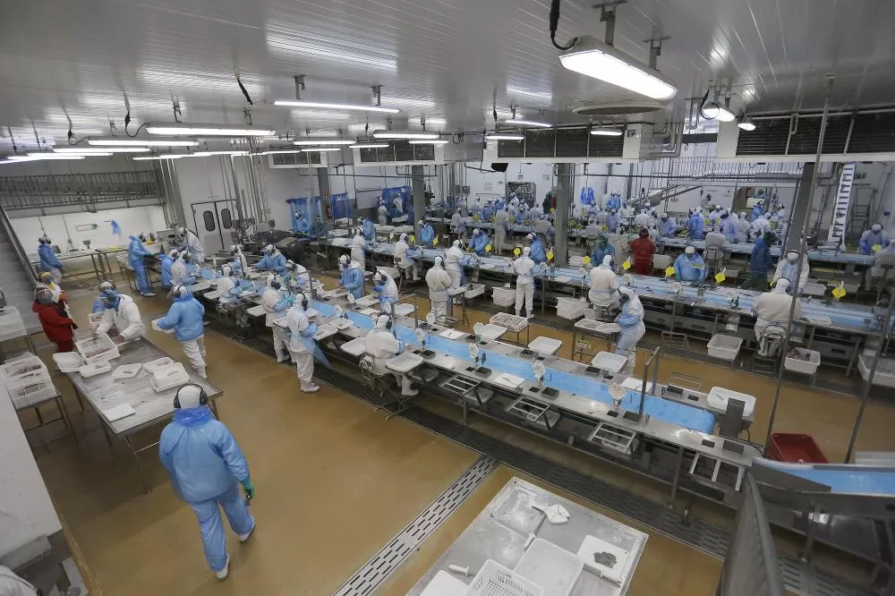 Recorde do ano: Agências do Trabalhador disponibilizam mais de 25 mil vagas de emprego Foto: Jonathan Campos/AEN